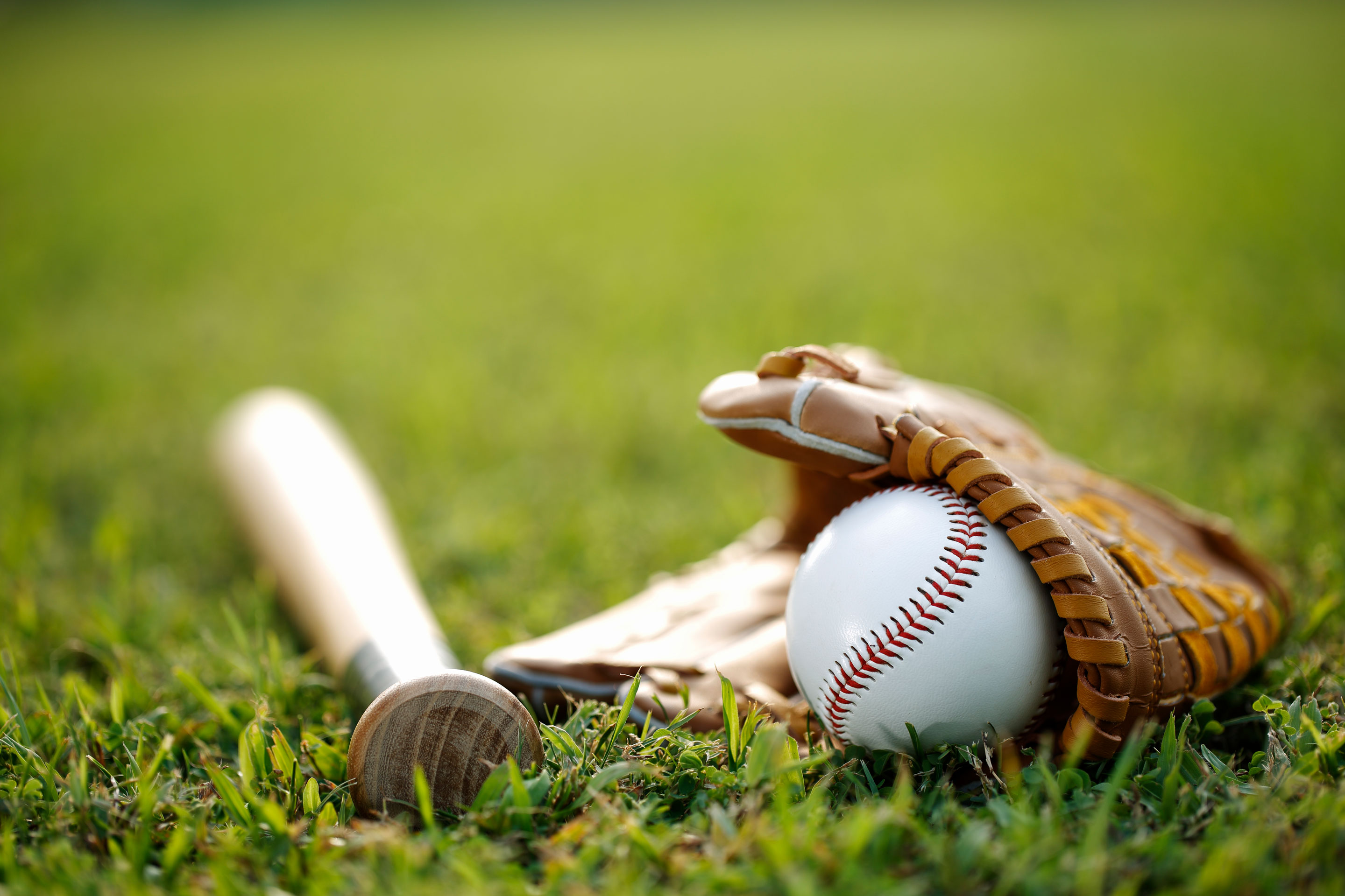 Youth Baseball Leagues